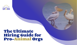 Ultimate Hiring Guide for Pro-Animal Orgs | Scarlet Spark